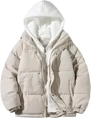 Women's Winter Oversize Jacket Down Cotton Padded Coat Female Loose Casual Overcoat Female Hooded Short Parkas